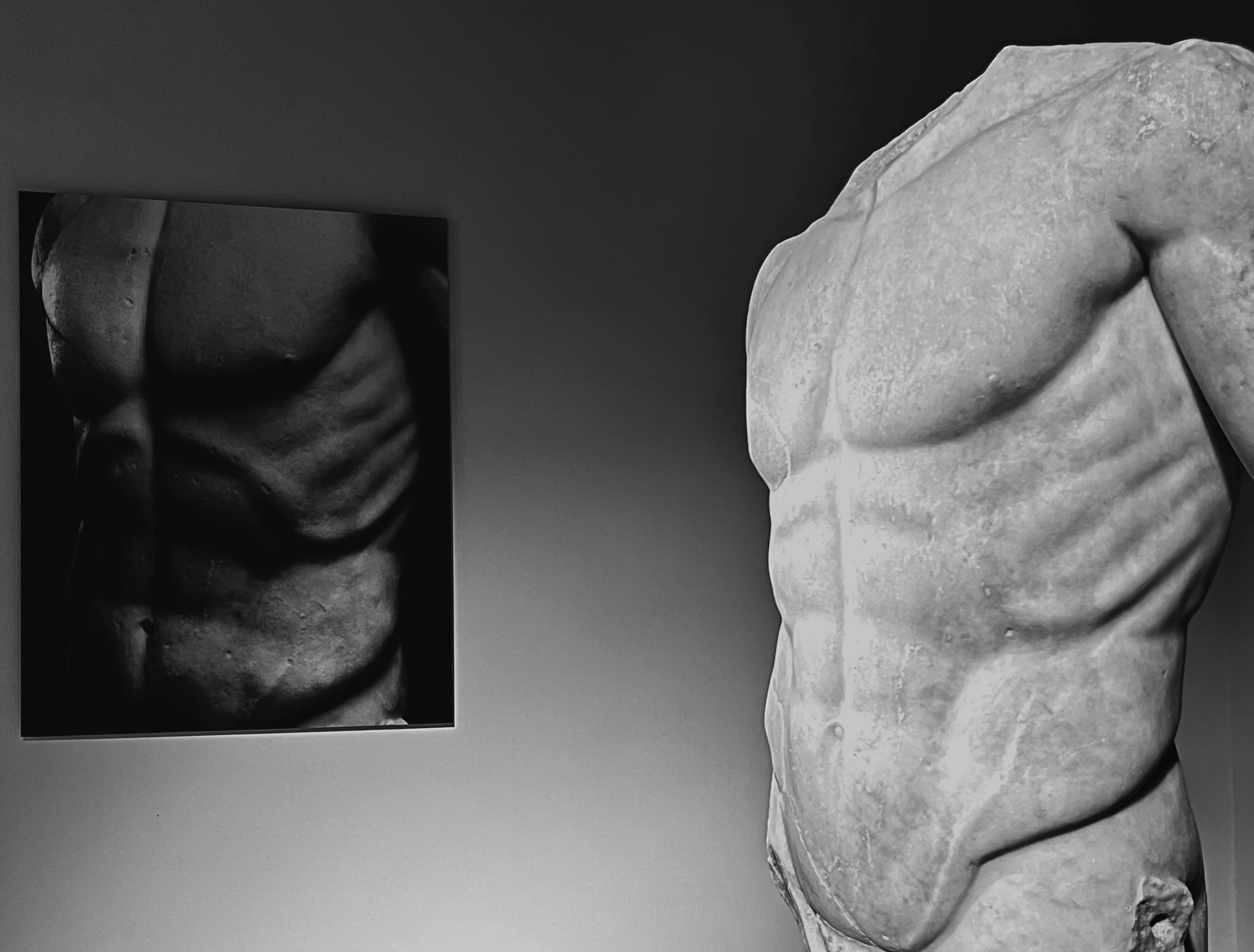 torso